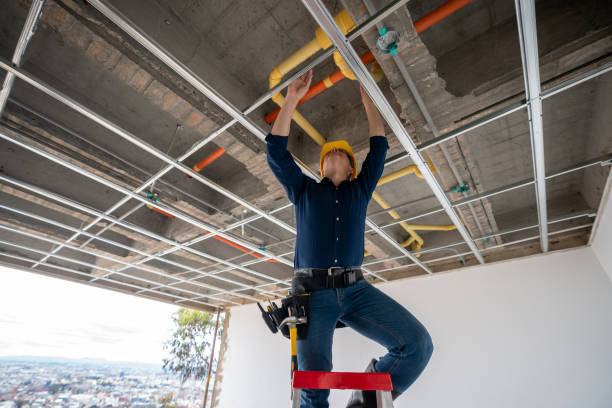 Best Sewer Line Repair  in Pine Grove, CA