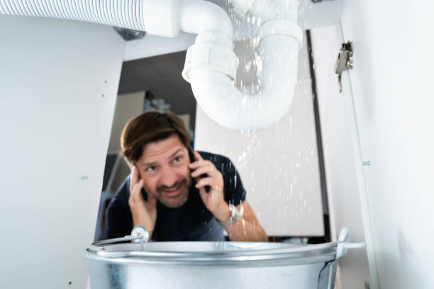 Best Emergency Plumbing Repair  in Pine Grove, CA
