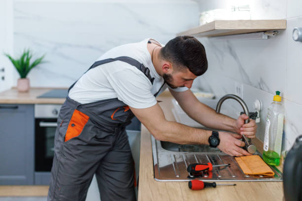 Best Drain Cleaning Services  in Pine Grove, CA