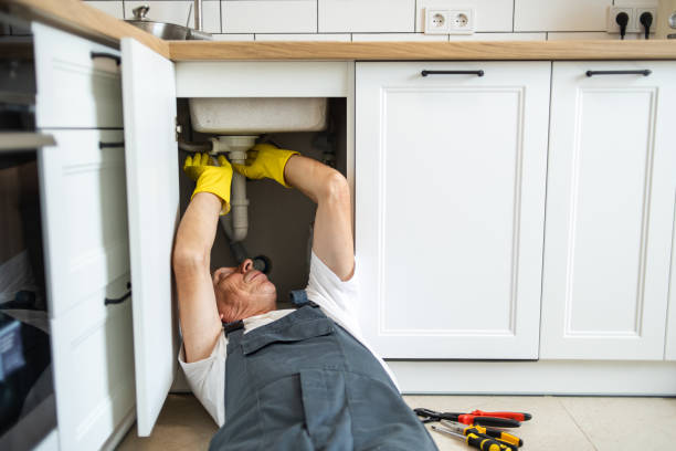 Best Emergency Plumbing Repair  in Pine Grove, CA